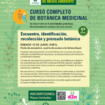Imagen de la noticia Alpedrete verde. Curso completo de botánica medicinal